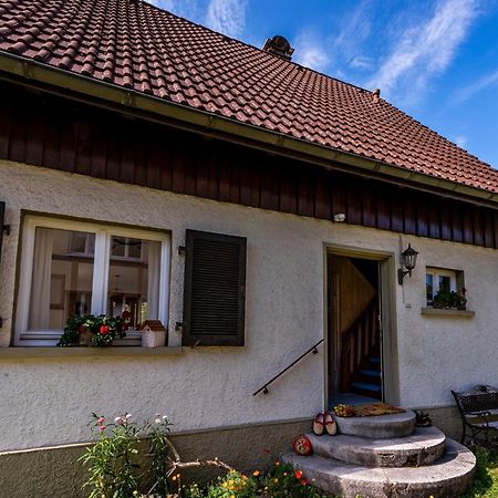 Gartenferienhaus "Annaluise" Schonau im Schwarzwald Exterior photo