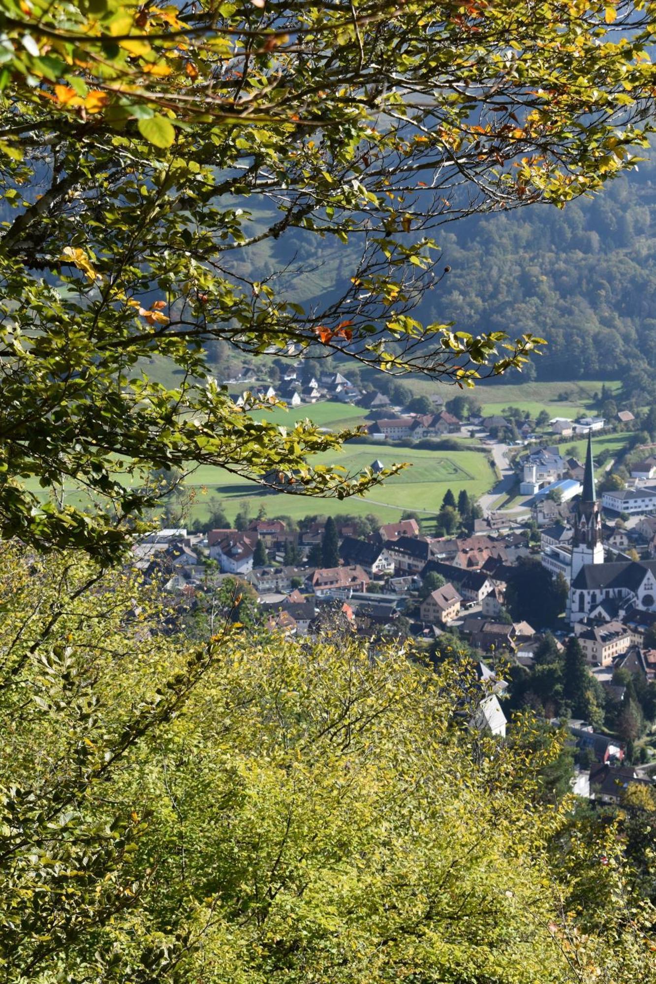 Gartenferienhaus "Annaluise" Schonau im Schwarzwald Exterior photo