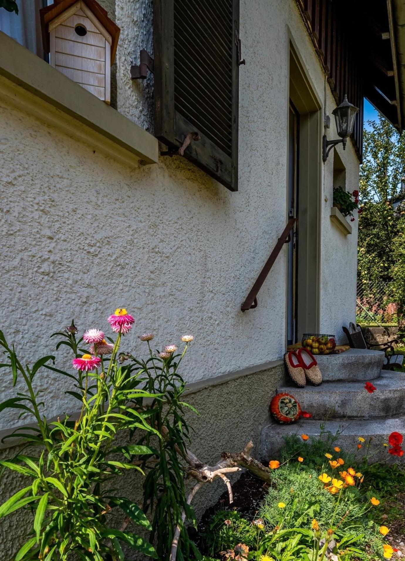 Gartenferienhaus "Annaluise" Schonau im Schwarzwald Exterior photo